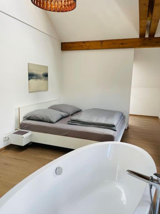 Traumvilla Im Herzen Hainichens Buitenkant foto