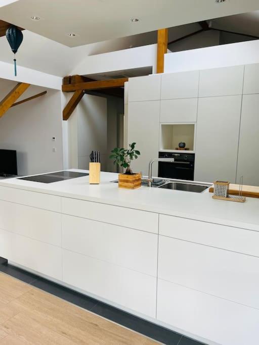 Traumvilla Im Herzen Hainichens Buitenkant foto