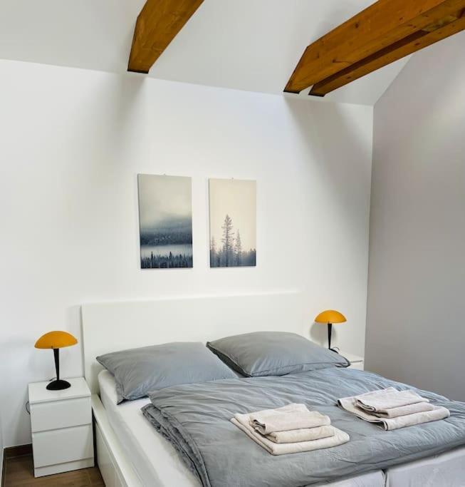Traumvilla Im Herzen Hainichens Buitenkant foto